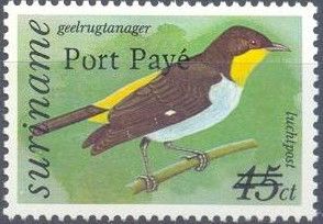 Yellow-backed Tanager (Hemithraupis flavicollis) - Overprint