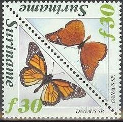 Monarch (Danaus plexippus)