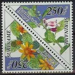 Sesamum indicum