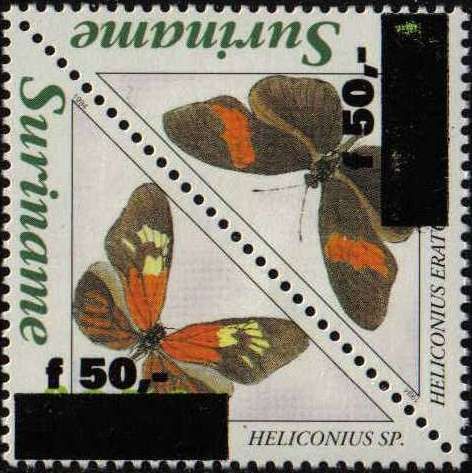 Crimson-patched Longwing (Heliconius erato hydara)