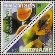 Watermelon (Citrullus vulgaris)