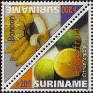 Banana (Musa nana)