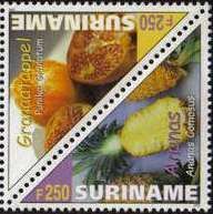Pineapple (Ananas comosus)