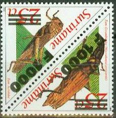 Macrodontia cervicornis (Overprinted)