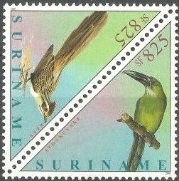 Striped Cuckoo (Tapera naevia)