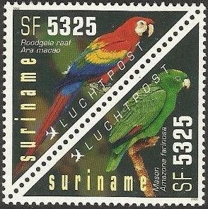 Mealy Parrot (Amazona farinosa)