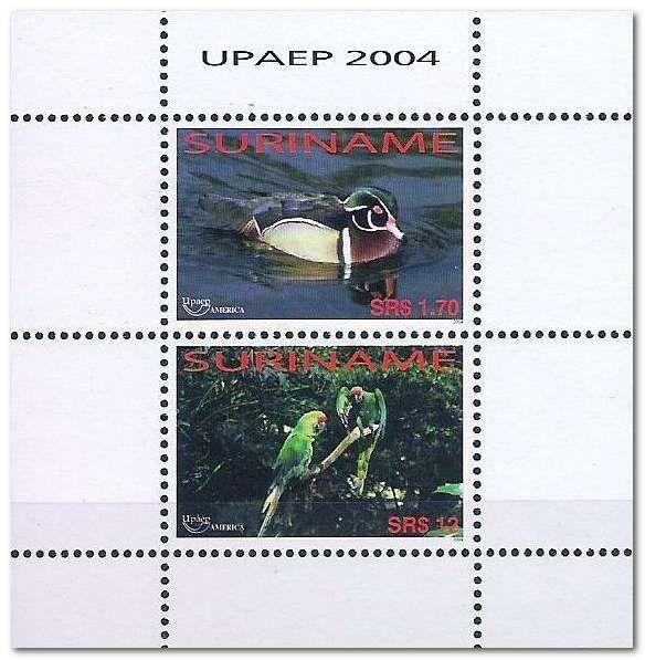 Wood Duck (Aix sponsa)