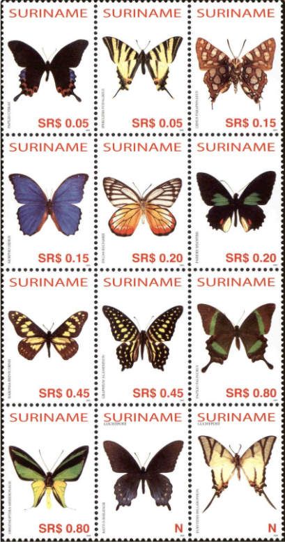 Tailed Jay (Graphium agamemnon)