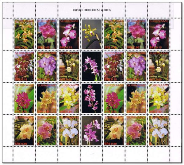 Orchids