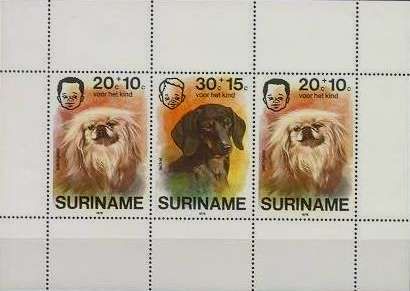 Child Welfare - Pet Dogs