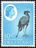 Secretarybird (Sagittarius serpentarius)