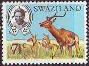 Impala (Aepyceros melampus)