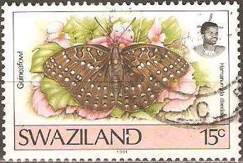 Guineafowl Butterfly (Hamanumida daedalus)