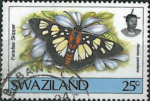 Paradise Skipper (Abantis paradisea)
