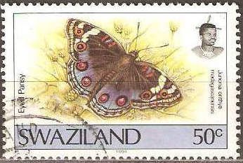 Blue Eyed Pansy (Junonia orithya ssp. madagascariensis)