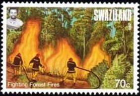 Fighting Forest Fires