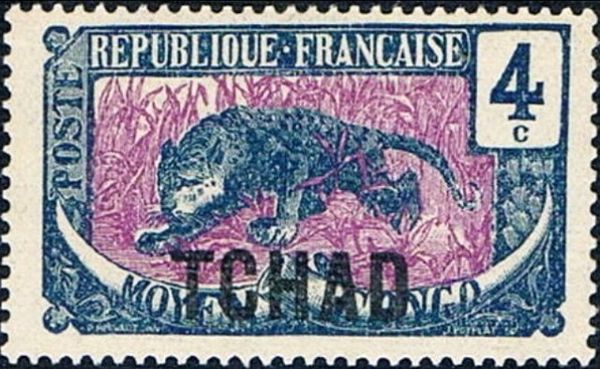 Leopard (Panthera pardus) overprint
