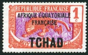 Leopard (Panthera pardus) overprint