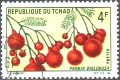 Parkia biglobosa