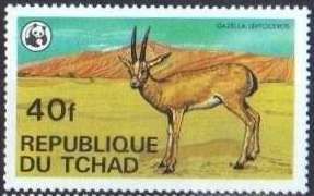 Rhim Gazelle (Gazella leptoceros)