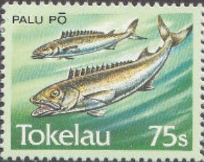 Palu Po - Oilfish (Ruvettus pretiosus)