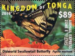 Old World Swallowtail Butterfly (Papilio machaon)