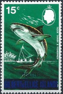 Tiger Shark & Fishermen