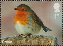 Robin