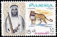 Leopard (Panthera pardus)