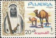Dromedary (Camelus dromedarius)