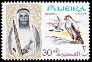 Lanner Falcon (Falco biarmicus)