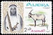 Arabian Horse (Equus ferus caballus)