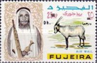 Arabian Oryx (Oryx leucoryx)