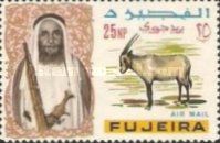 Arabian Oryx (Oryx leucoryx)