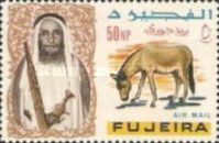 Onager (Equus hemionus onager)