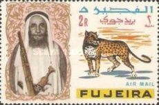 Leopard (Panthera pardus)
