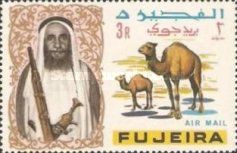 Dromedary (Camelus dromedarius)