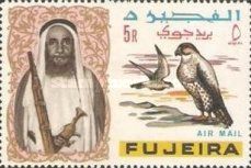 Lanner Falcon (Falco biarmicus)