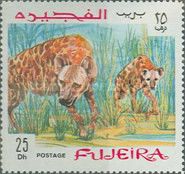 Spotted Hyena (Crocuta crocuta)