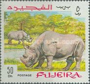 Black Rhinoceros (Diceros bicornis)