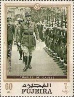 Troop Inspection