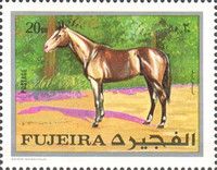 Chestnut Stallion (Equus ferus caballus)