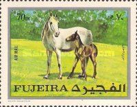 Mare and Foal (Equus ferus caballus)