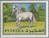 Stallion (Equus ferus caballus)