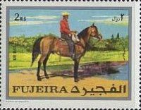 Horse (Equus ferus caballus) with Cowboy