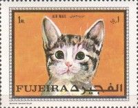 Domestic Cat (Felis silvestris catus)