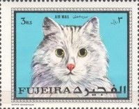 Domestic Cat (Felis silvestris catus)