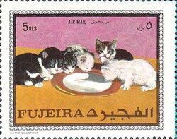 Kittens (Felis silvestris catus)