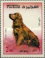 Cocker Spaniel (Canis lupus familiaris)