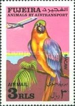 Macaw